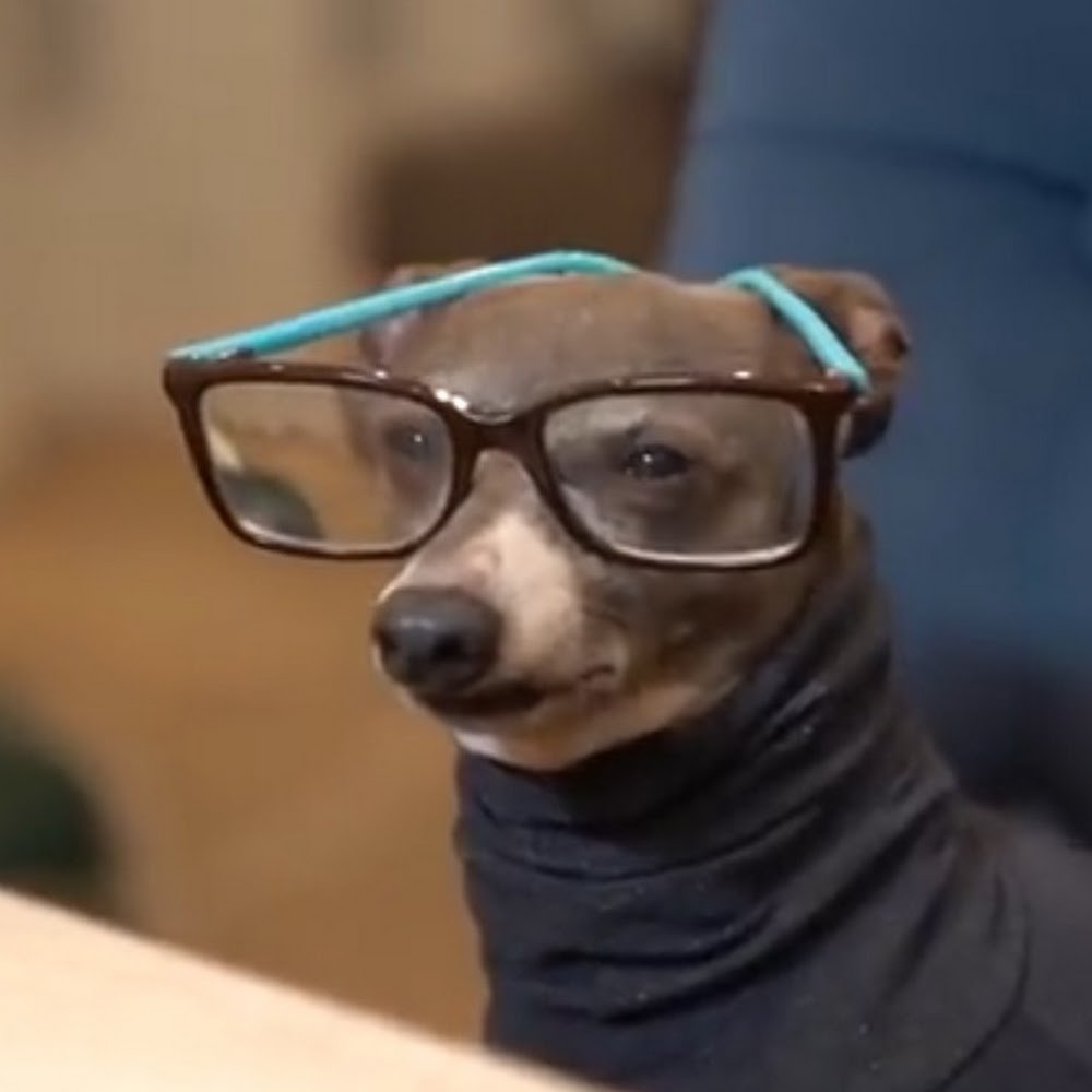 Meet your Posher, Melanie